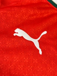 Portugal 2025 Home Half Sleeve Player Edition  - M