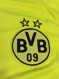 Dortmund 24/25 Neon Green Fan Edition Half Sleeve With Short  - M