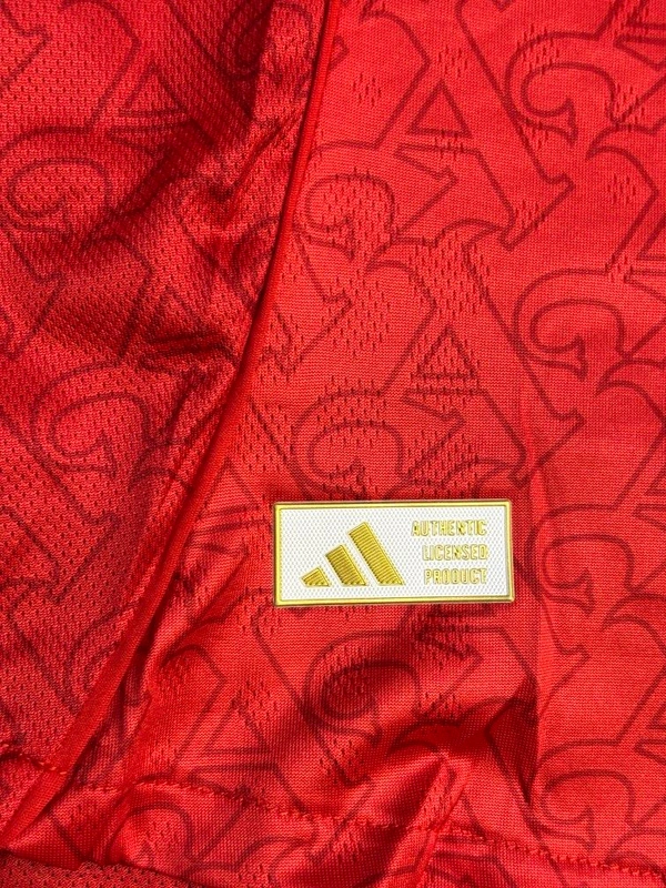 Arsenal FC 25/26 Home Kit Player Edition Half Sleeve  - L