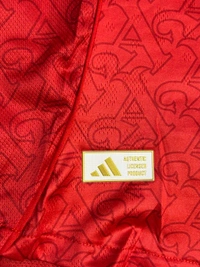 Arsenal FC 25/26 Home Kit Player Edition Half Sleeve  - XL