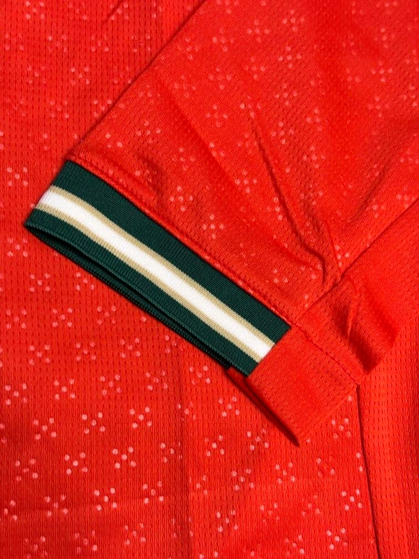 Portugal 2025 Home Kit Master Edition Full Sleeve  - L