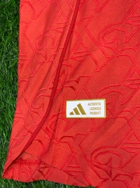 Arsenal FC 25/26 Home Kit Player Edition Half Sleeve  - M