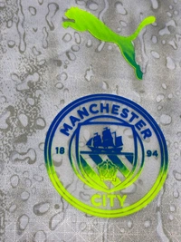 Manchester City 25/26 Third Replica Men's dryCELL Player Edition  - M