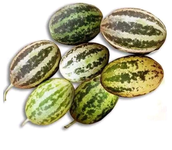 Lemon Cucumber/500grms/బుడంకాయలు