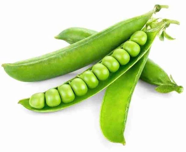 Green Peas (Matar) मटर