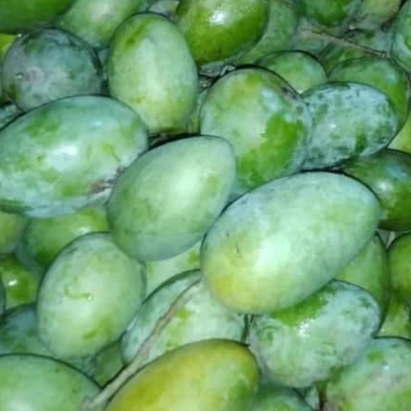 Mango 1 Kg