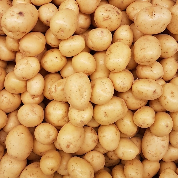 Potato ( Aalu) 1 Kg 