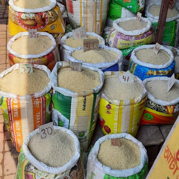 Rice