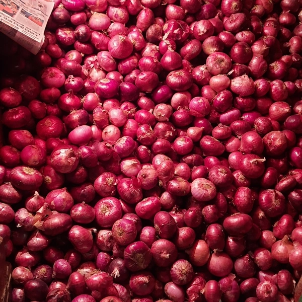 Onion /piyaj 1 Kg