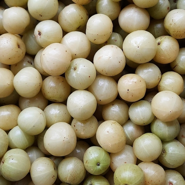 Amla 200 Gm