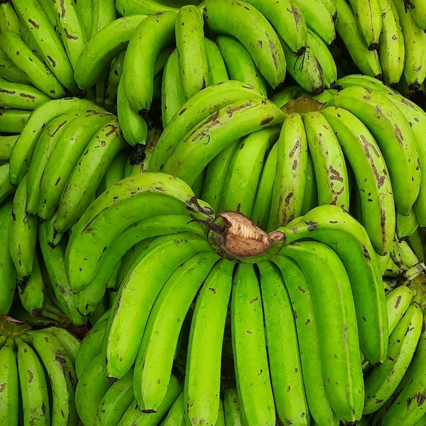 Singapuri Banana : 6 Piece