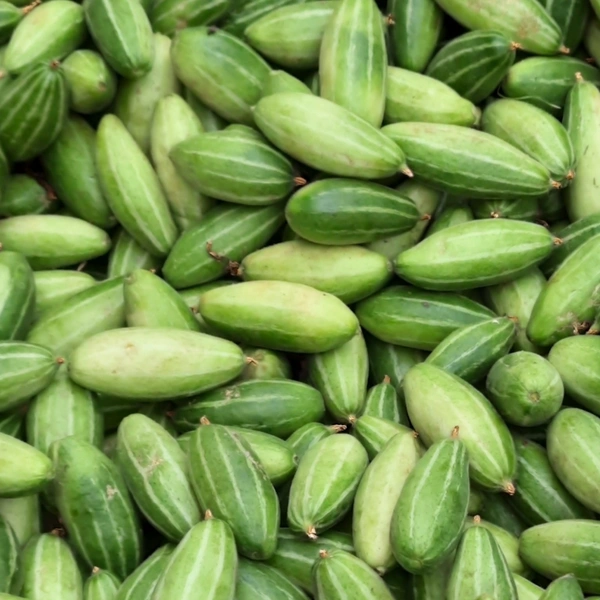 Patal (Parwal) 500gm