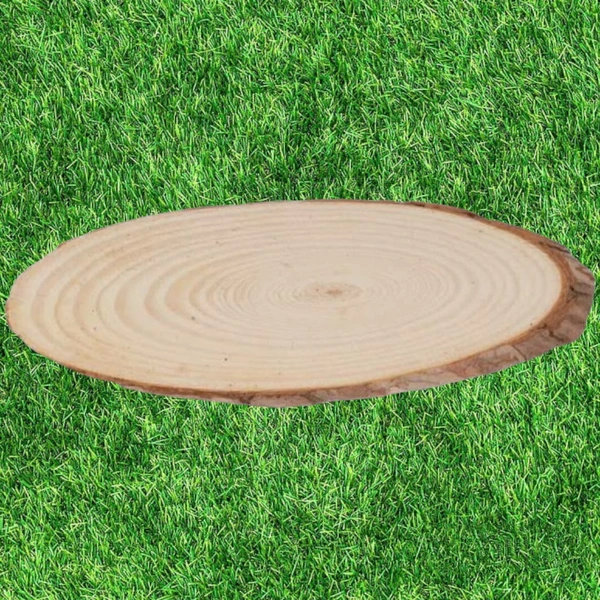 Wooden Slice Ovel Shape 10x25 CM. 