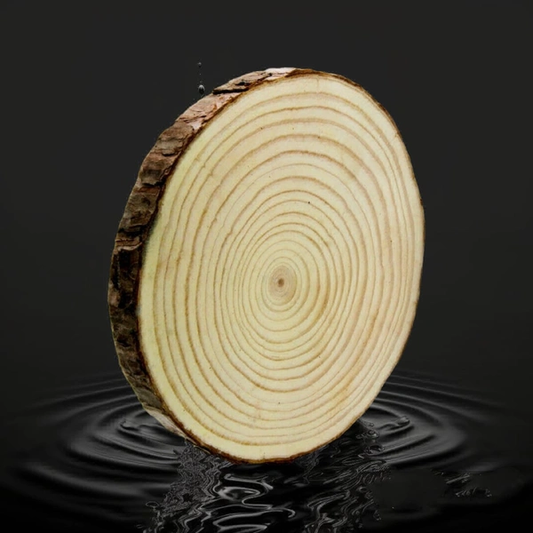 Wooden Slice Round 17-19 CM. 