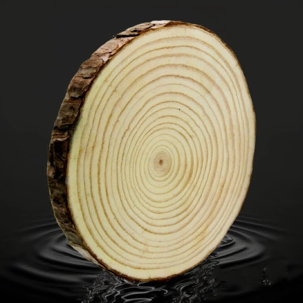 Wooden Slice Round 23-25 CM. 