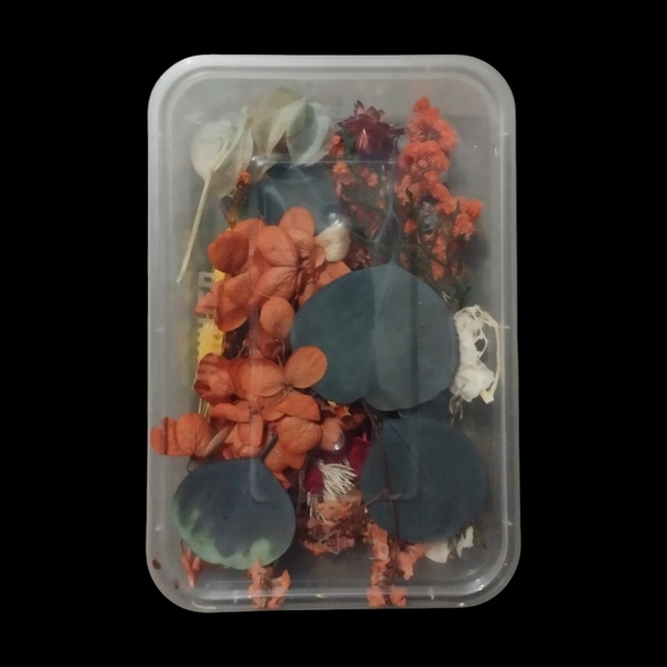 Dried Flower Box No. D54