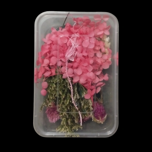 Dried Flower Box No. D55