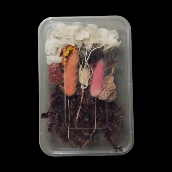 Dried Flower Box No. D56