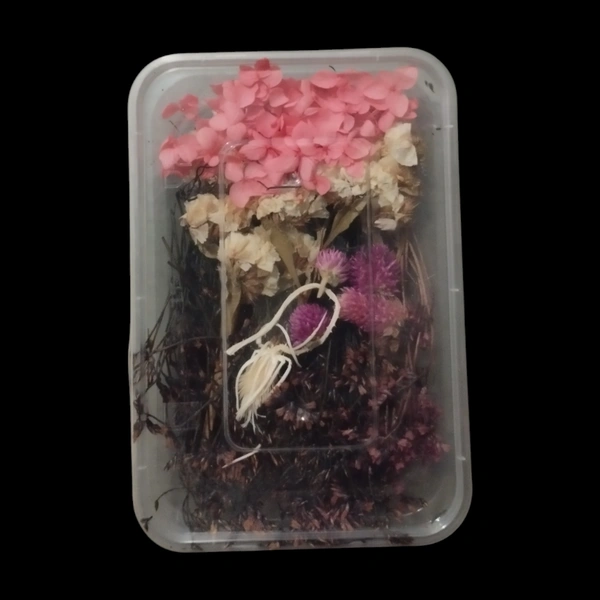 Dried Flower Box No. D58