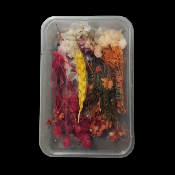 Dried Flower Box No. D61