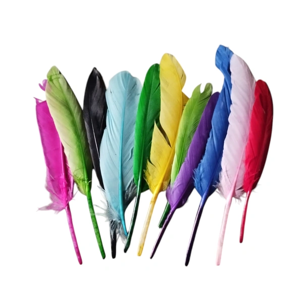 Artificial Feather Set Of 10