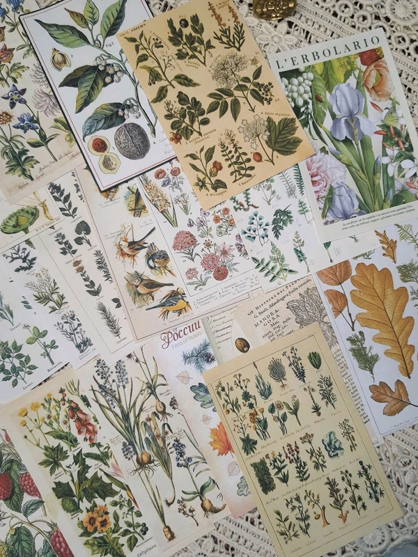 Botanical Pattern Papers - 4.5 x 3 Inches