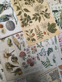 Botanical Pattern Papers - 4.5 x 3 Inches