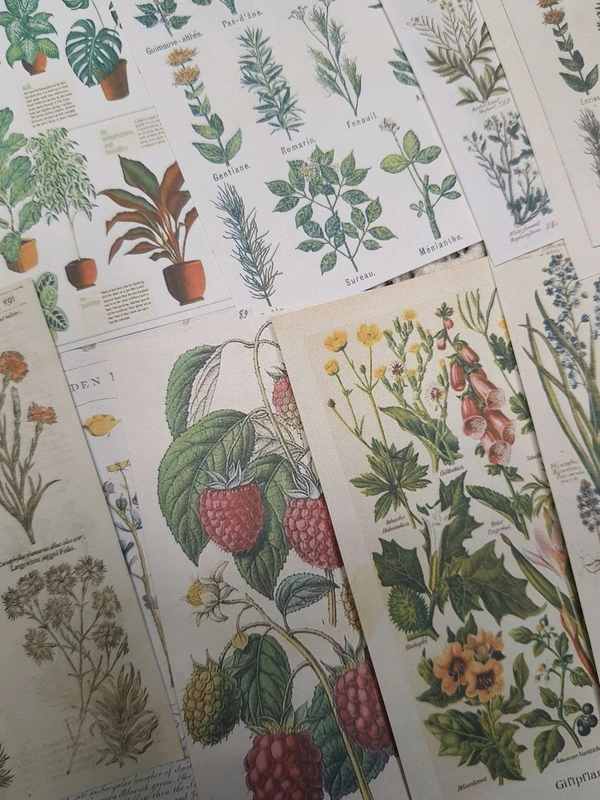 Botanical Pattern Papers - 4.5 x 3 Inches
