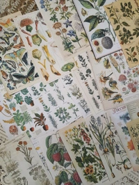 Botanical Pattern Papers - 4.5 x 3 Inches