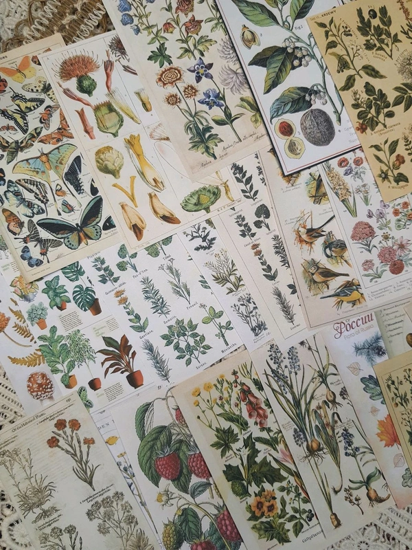 Botanical Pattern Papers - 4.5 x 3 Inches