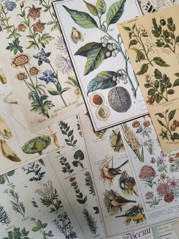 Botanical Pattern Papers - 4.5 x 3 Inches