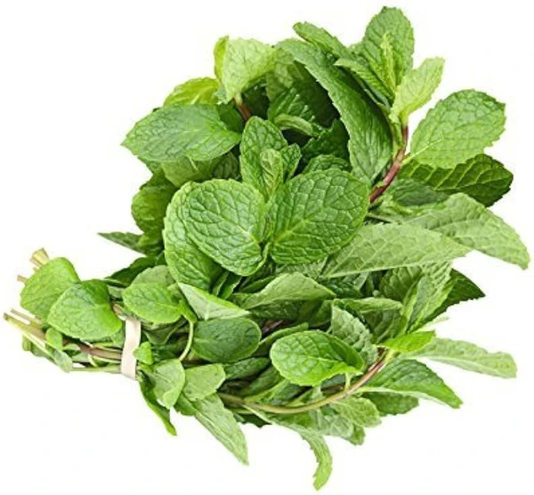 Mint Leaves - 1 Bunch