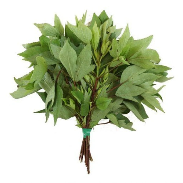 Pulicha Keerai (Gongura Leaves) - 1 Bunch