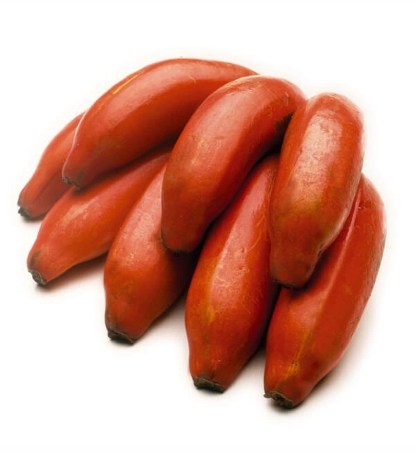Red Banana - 1kg