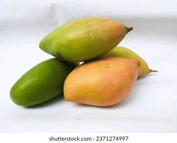 Totapuri Mango (Kilimooku) - 500g