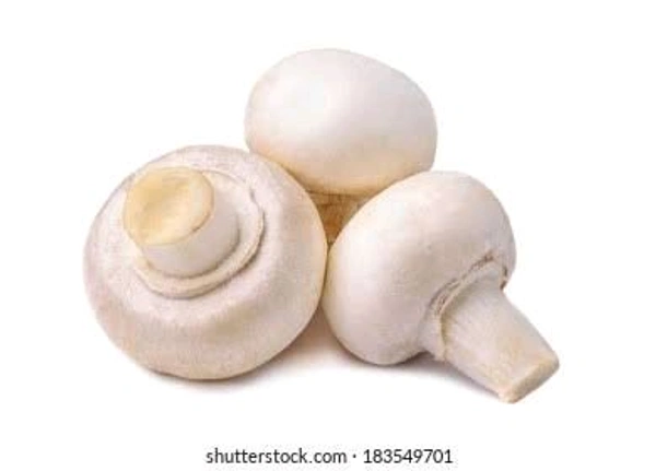 Mushroom (Button)
