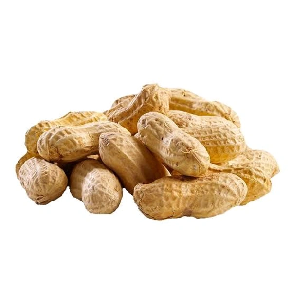 Groundnut