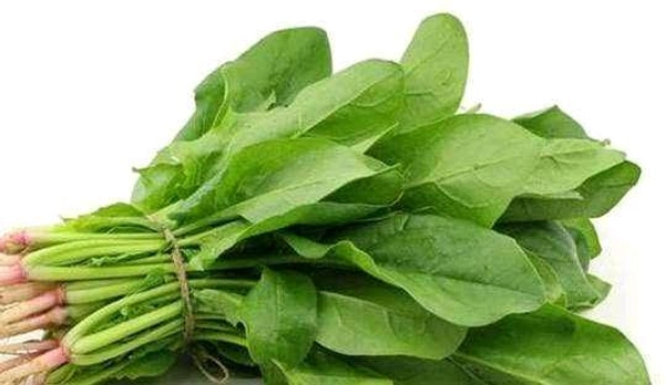 Pasalai Keerai - 1 Bunch