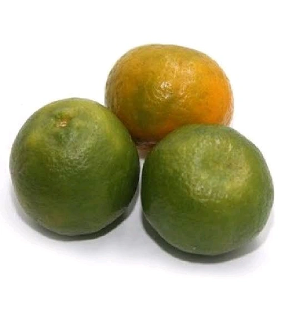 Kamala Orange - 1kg
