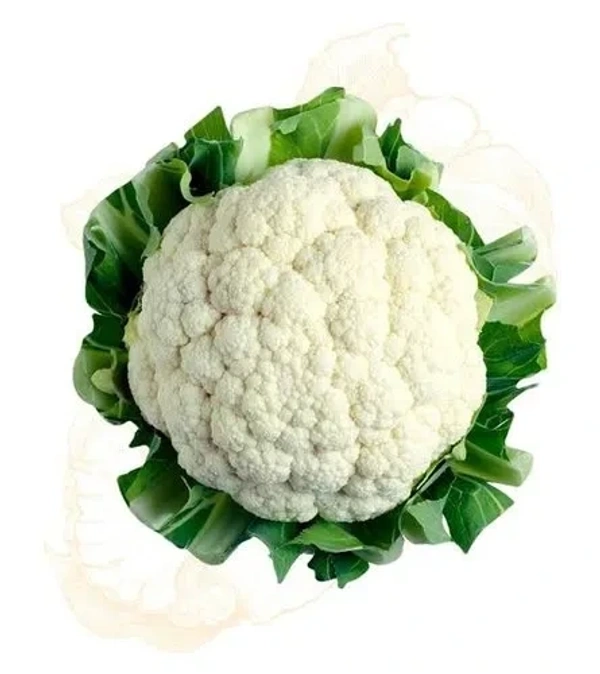 Cauliflower - Big (1 Piece)