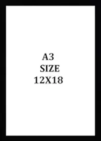 YoungRize Dr. Babasaheb Ambedkar Sign (Jivanach Son) frame acrylic glass - 12 x 18 inch, Black