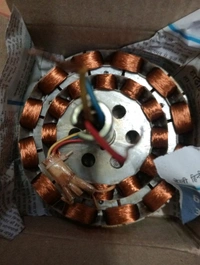 ruchi  12 pole stator copper