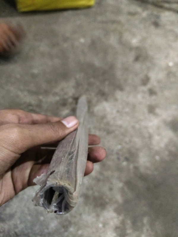 1.5 feet down rod reguler brown