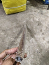 2 feet down rod reguler brown 