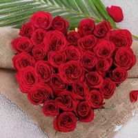 BINDU FLOWERS - Logo