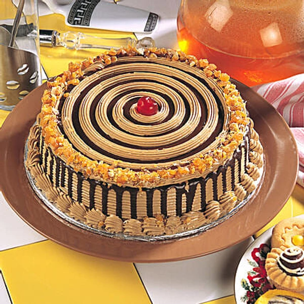 Choco Nova Cake 500 Gm
