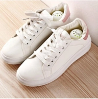 GRAH SANGRAH® (10 Pcs) Deodorizer Balls Shoe Cabinet Deodorant Balls Sneaker Air Freshener Balls Gym Bags Lockers Car Sneaker Odor Balls Shoe Deodorizers For Home Office - Free Size