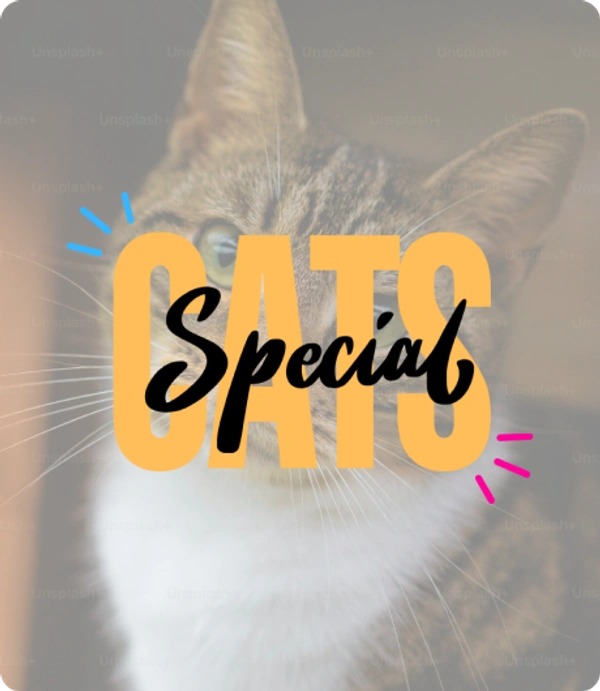 Cats Special