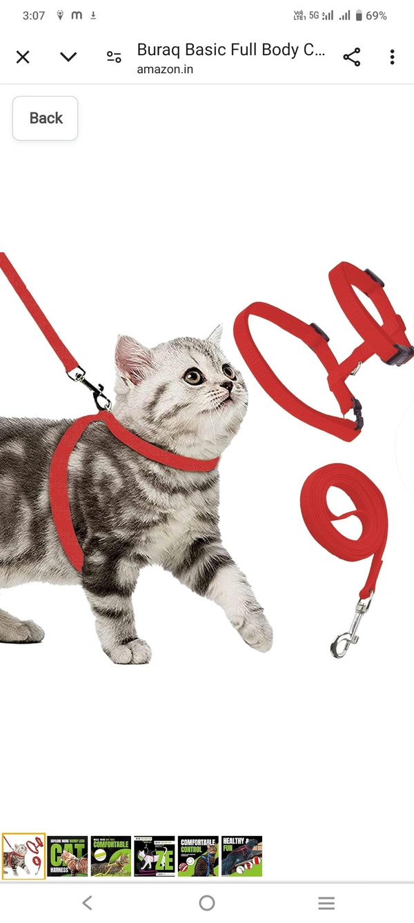 Cat Harness