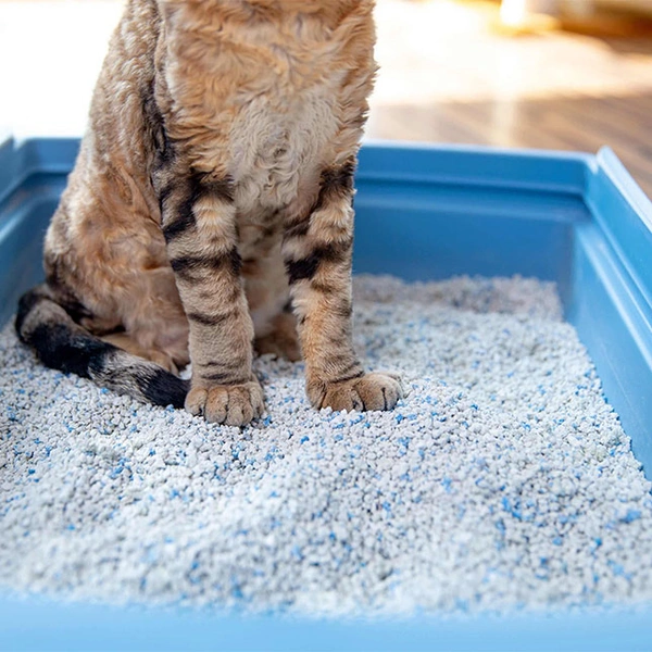 Cat Litter sand (Cat Mud) Yanical - 5kg